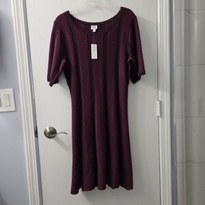 Dress, large petite, new, dress barn